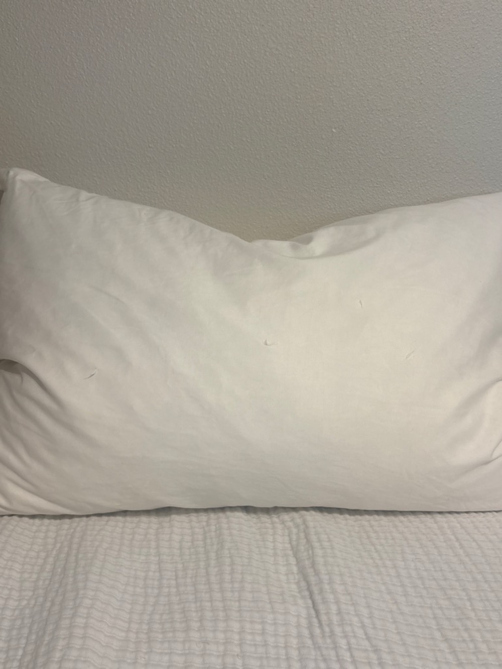 Pottery Barn Classic White Feather Pillow – Soft Cotton Cover (White)